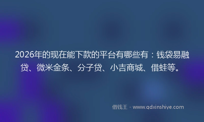 2026年的现在能下款的平台有哪些有：钱袋易融贷、微米金条、分子贷、小吉商城、借蛙等。