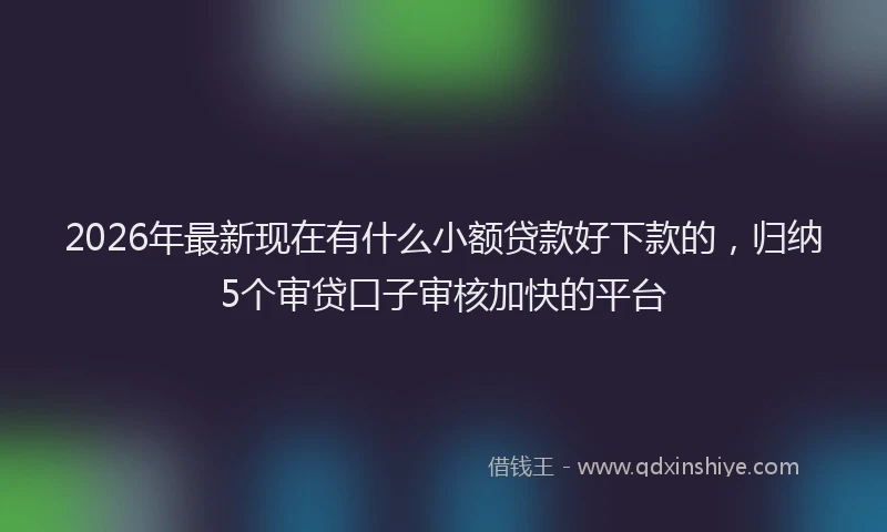 2026年最新现在有什么小额贷款好下款的，归纳5个审贷口子审核加快的平台