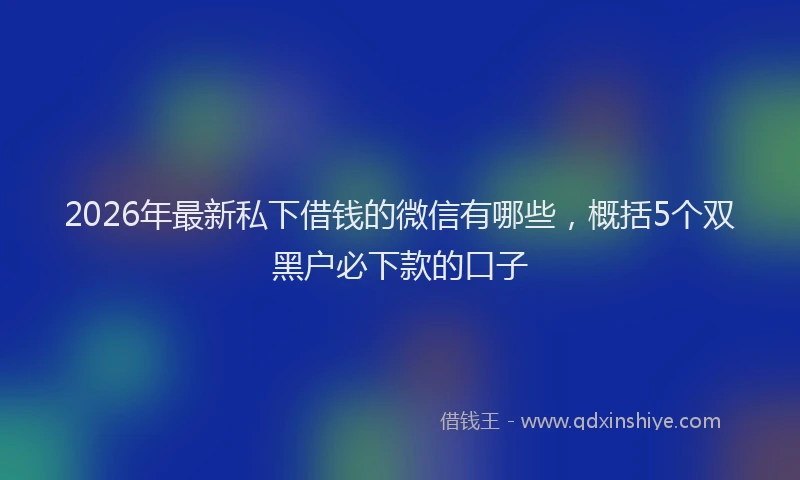 2026年最新私下借钱的微信有哪些，概括5个双黑户必下款的口子