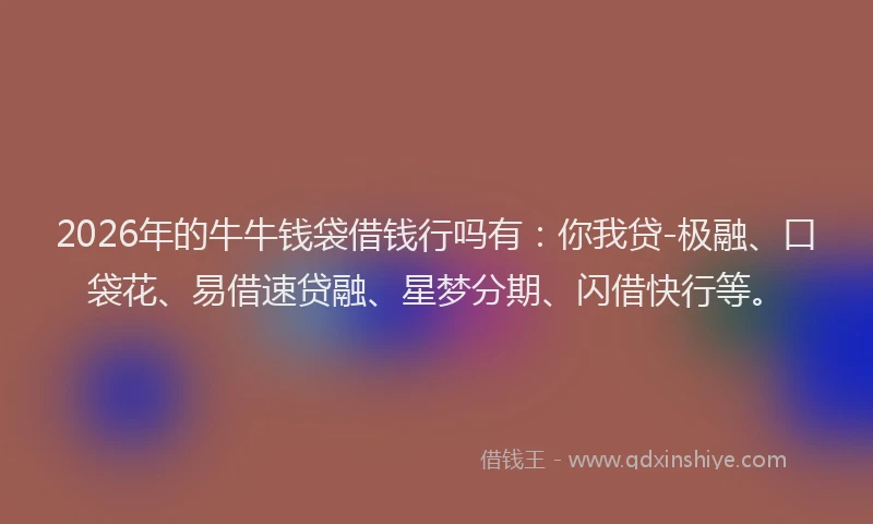 2026年的牛牛钱袋借钱行吗有：你我贷-极融、口袋花、易借速贷融、星梦分期、闪借快行等。