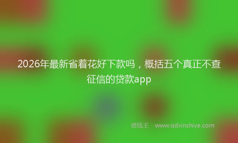 2026年最新省着花好下款吗，概括五个真正不查征信的贷款app