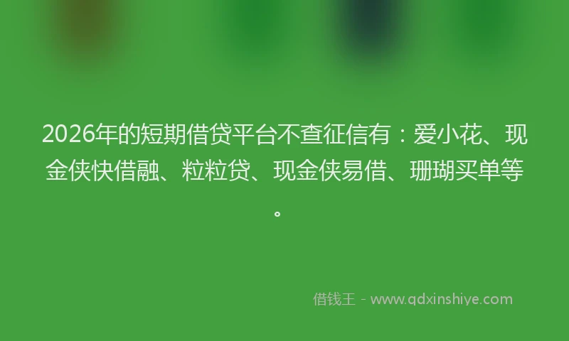 2026年的短期借贷平台不查征信有：爱小花、现金侠快借融、粒粒贷、现金侠易借、珊瑚买单等。