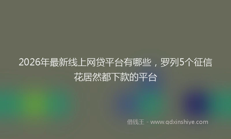 2026年最新线上网贷平台有哪些，罗列5个征信花居然都下款的平台