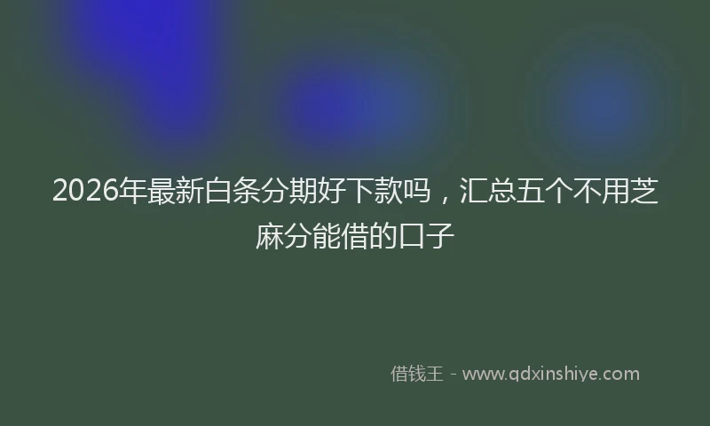 2026年最新白条分期好下款吗，汇总五个不用芝麻分能借的口子