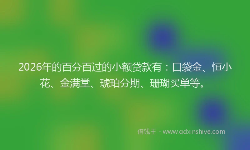 2026年的百分百过的小额贷款有：口袋金、恒小花、金满堂、琥珀分期、珊瑚买单等。