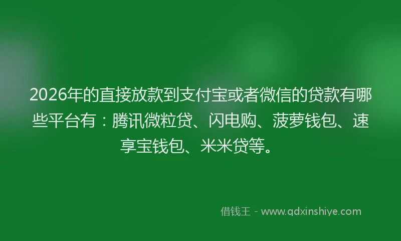 2026年的直接放款到支付宝或者微信的贷款有哪些平台有：腾讯微粒贷、闪电购、菠萝钱包、速享宝钱包、米米贷等。