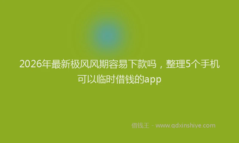 2026年最新极风风期容易下款吗，整理5个手机可以临时借钱的app