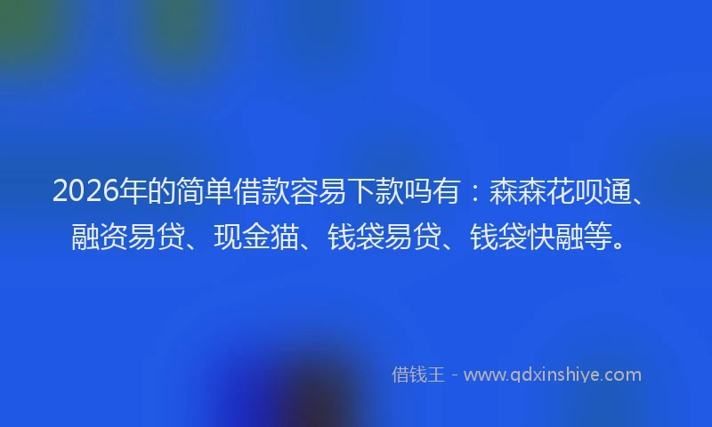 2026年的简单借款容易下款吗有：森森花呗通、融资易贷、现金猫、钱袋易贷、钱袋快融等。