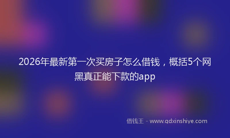 2026年最新第一次买房子怎么借钱，概括5个网黑真正能下款的app