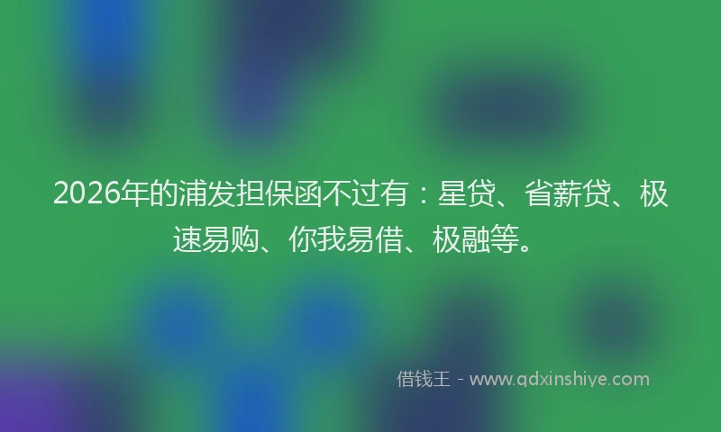 2026年的浦发担保函不过有：星贷、省薪贷、极速易购、你我易借、极融等。