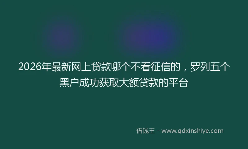 2026年最新网上贷款哪个不看征信的，罗列五个黑户成功获取大额贷款的平台