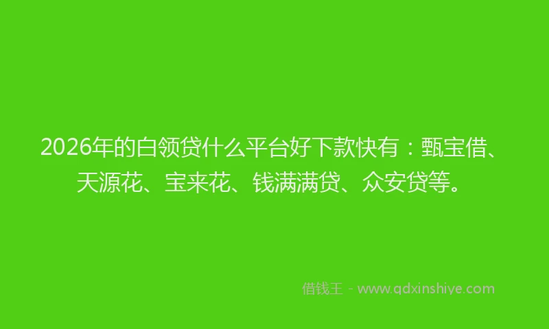 2026年的白领贷什么平台好下款快有：甄宝借、天源花、宝来花、钱满满贷、众安贷等。