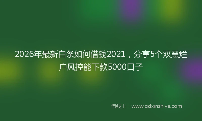 2026年最新白条如何借钱2021，分享5个双黑烂户风控能下款5000口子