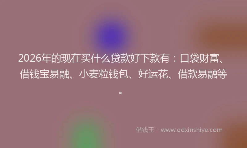 2026年的现在买什么贷款好下款有：口袋财富、借钱宝易融、小麦粒钱包、好运花、借款易融等。