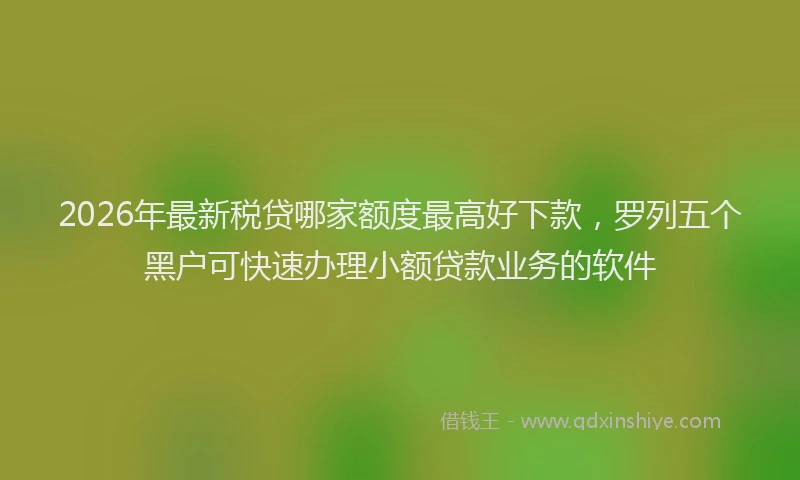 2026年最新税贷哪家额度最高好下款，罗列五个黑户可快速办理小额贷款业务的软件