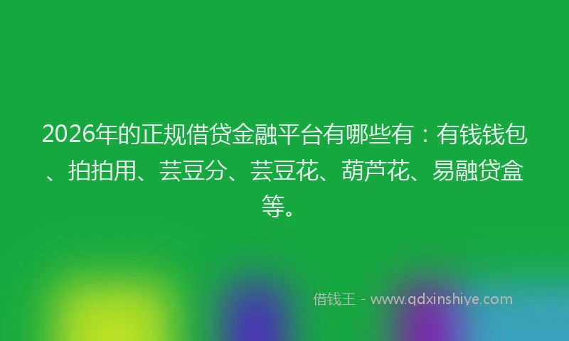 2026年的正规借贷金融平台有哪些有：有钱钱包、拍拍用、芸豆分、芸豆花、葫芦花、易融贷盒等。