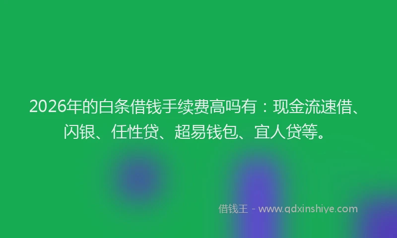 2026年的白条借钱手续费高吗有：现金流速借、闪银、任性贷、超易钱包、宜人贷等。