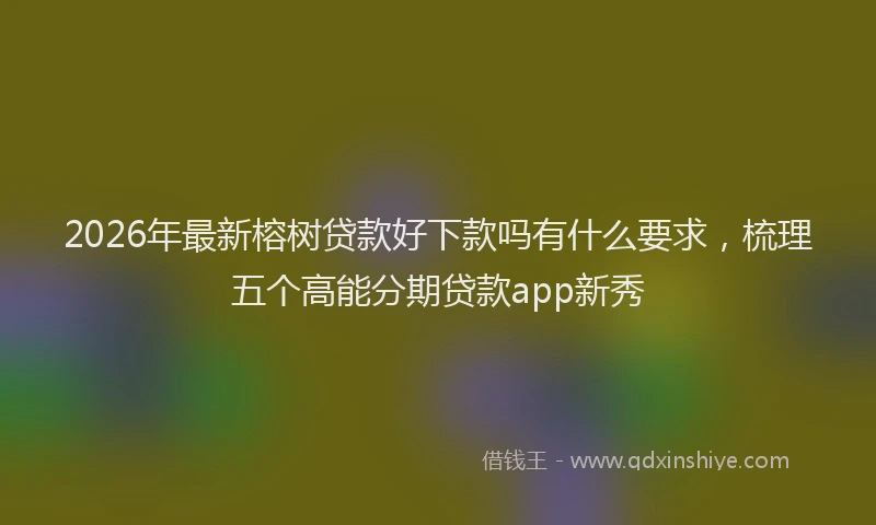 2026年最新榕树贷款好下款吗有什么要求，梳理五个高能分期贷款app新秀