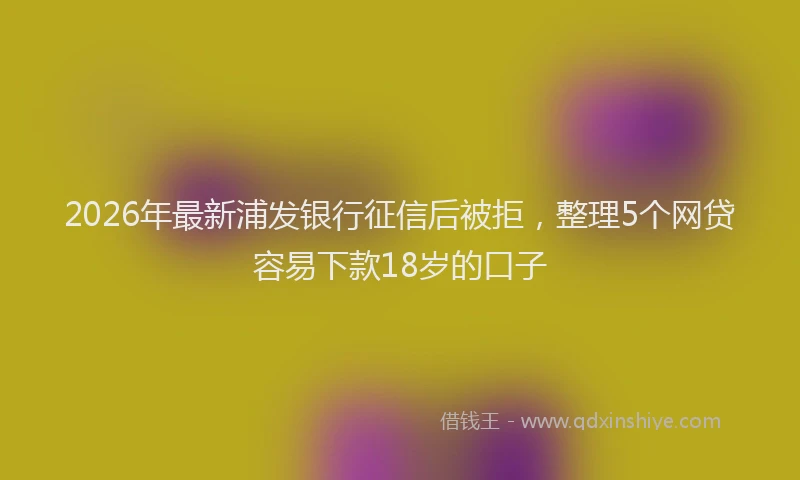 2026年最新浦发银行征信后被拒，整理5个网贷容易下款18岁的口子