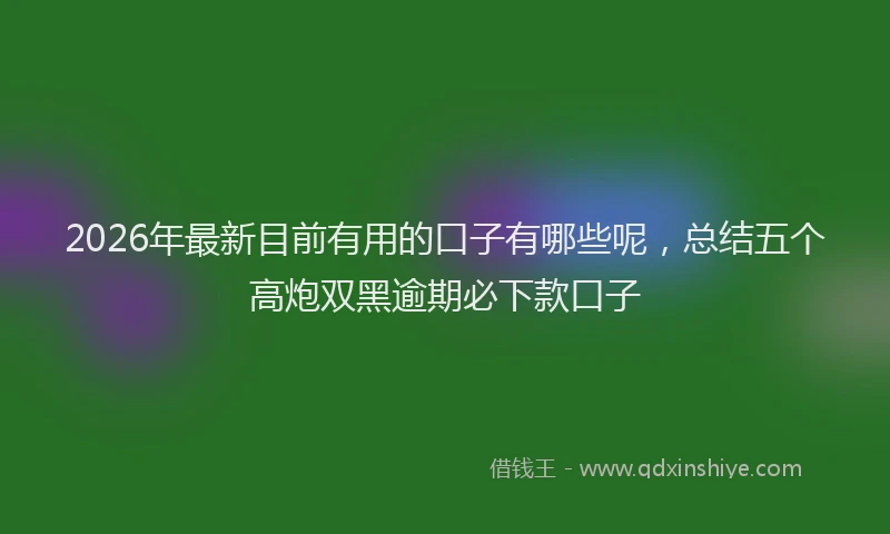 2026年最新目前有用的口子有哪些呢，总结五个高炮双黑逾期必下款口子