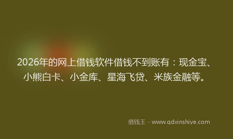 2026年的网上借钱软件借钱不到账有：现金宝、小熊白卡、小金库、星海飞贷、米族金融等。