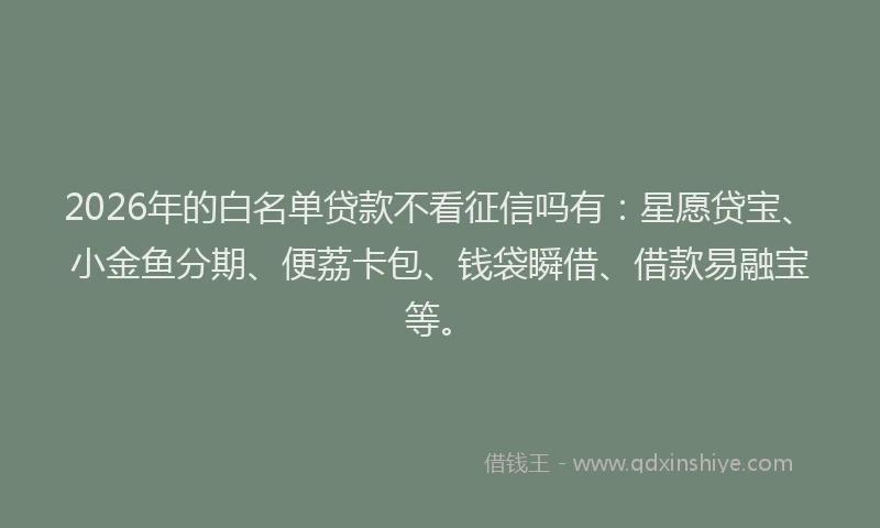 2026年的白名单贷款不看征信吗有：星愿贷宝、小金鱼分期、便荔卡包、钱袋瞬借、借款易融宝等。