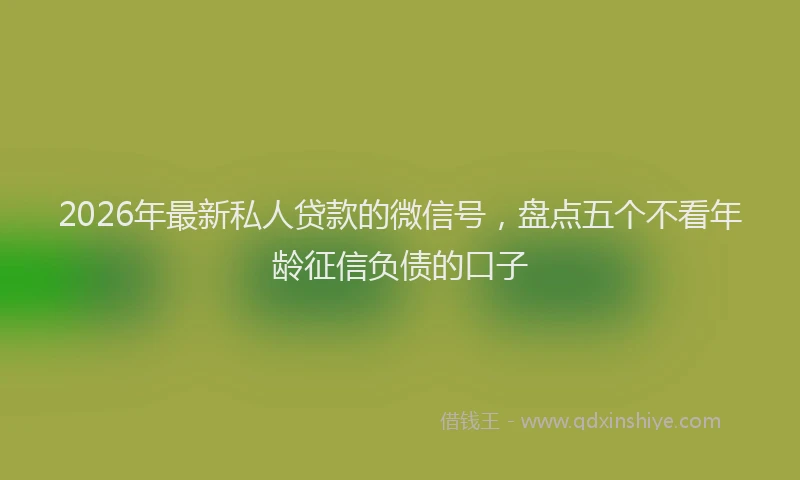 2026年最新私人贷款的微信号，盘点五个不看年龄征信负债的口子