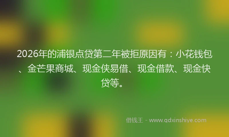 2026年的浦银点贷第二年被拒原因有：小花钱包、金芒果商城、现金侠易借、现金借款、现金快贷等。
