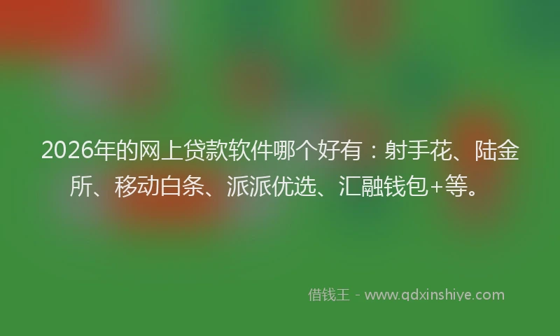 2026年的网上贷款软件哪个好有：射手花、陆金所、移动白条、派派优选、汇融钱包+等。