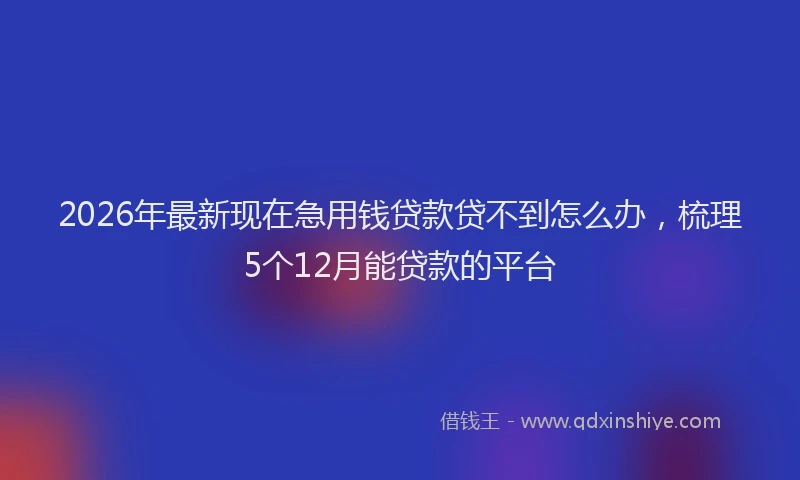 2026年最新现在急用钱贷款贷不到怎么办，梳理5个12月能贷款的平台