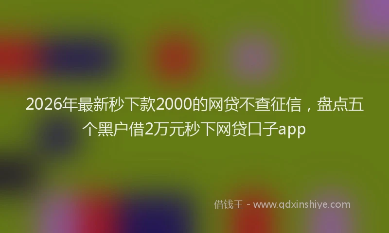 2026年最新秒下款2000的网贷不查征信，盘点五个黑户借2万元秒下网贷口子app