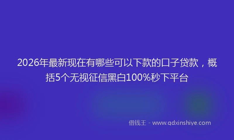 2026年最新现在有哪些可以下款的口子贷款，概括5个无视征信黑白100%秒下平台