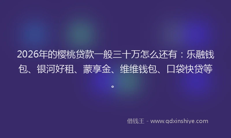 2026年的樱桃贷款一般三十万怎么还有：乐融钱包、银河好租、蒙享金、维维钱包、口袋快贷等。