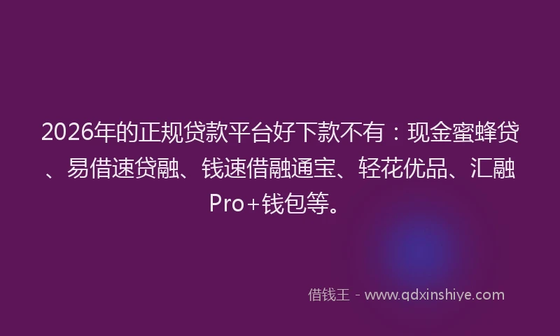 2026年的正规贷款平台好下款不有：现金蜜蜂贷、易借速贷融、钱速借融通宝、轻花优品、汇融Pro+钱包等。