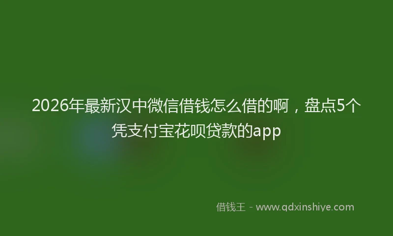 2026年最新汉中微信借钱怎么借的啊，盘点5个凭支付宝花呗贷款的app
