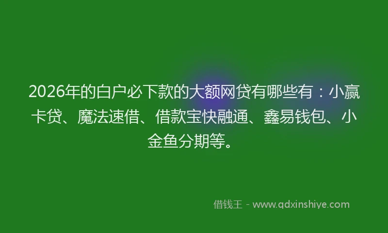 2026年的白户必下款的大额网贷有哪些有：小赢卡贷、魔法速借、借款宝快融通、鑫易钱包、小金鱼分期等。