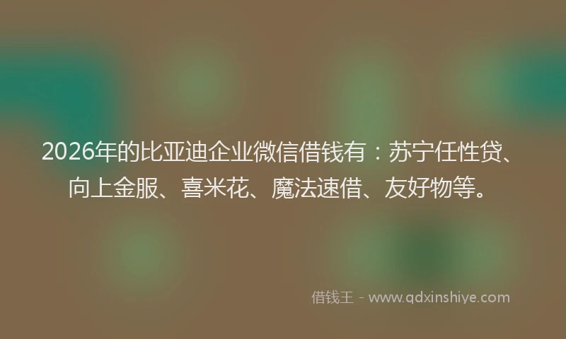 2026年的比亚迪企业微信借钱有：苏宁任性贷、向上金服、喜米花、魔法速借、友好物等。