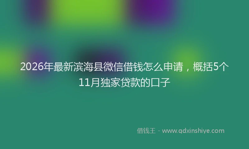 2026年最新滨海县微信借钱怎么申请，概括5个11月独家贷款的口子