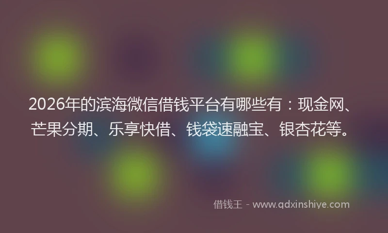 2026年的滨海微信借钱平台有哪些有：现金网、芒果分期、乐享快借、钱袋速融宝、银杏花等。