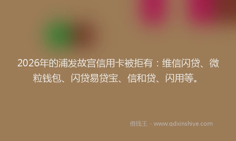2026年的浦发故宫信用卡被拒有：维信闪贷、微粒钱包、闪贷易贷宝、信和贷、闪用等。