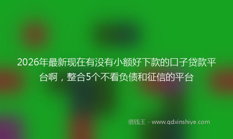 2026年最新现在有没有小额好下款的口子贷款平台啊，整合5个不看负债和征信的平台