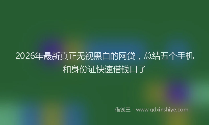 2026年最新真正无视黑白的网贷，总结五个手机和身份证快速借钱口子