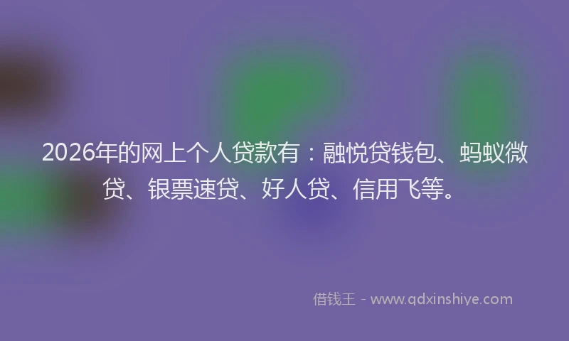 2026年的网上个人贷款有：融悦贷钱包、蚂蚁微贷、银票速贷、好人贷、信用飞等。