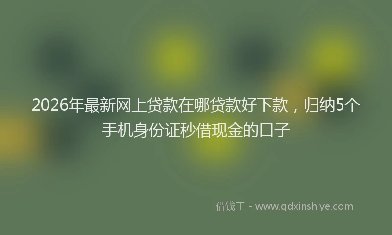 2026年最新网上贷款在哪贷款好下款，归纳5个手机身份证秒借现金的口子