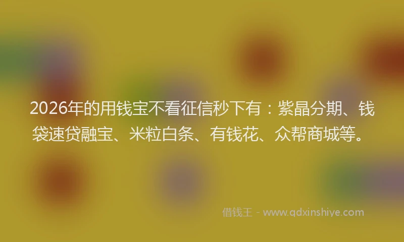 2026年的用钱宝不看征信秒下有：紫晶分期、钱袋速贷融宝、米粒白条、有钱花、众帮商城等。