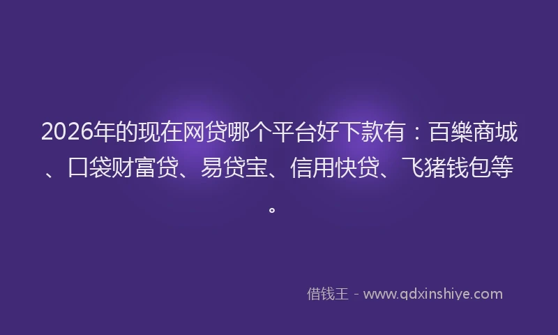 2026年的现在网贷哪个平台好下款有：百樂商城、口袋财富贷、易贷宝、信用快贷、飞猪钱包等。