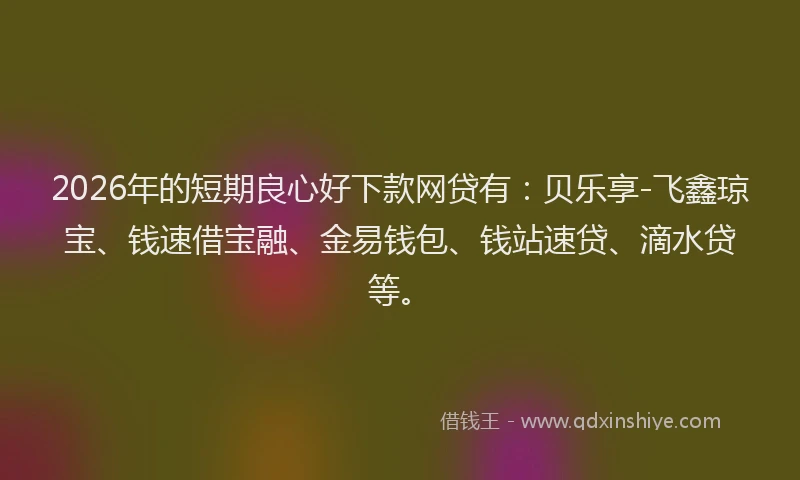 2026年的短期良心好下款网贷有：贝乐享-飞鑫琼宝、钱速借宝融、金易钱包、钱站速贷、滴水贷等。