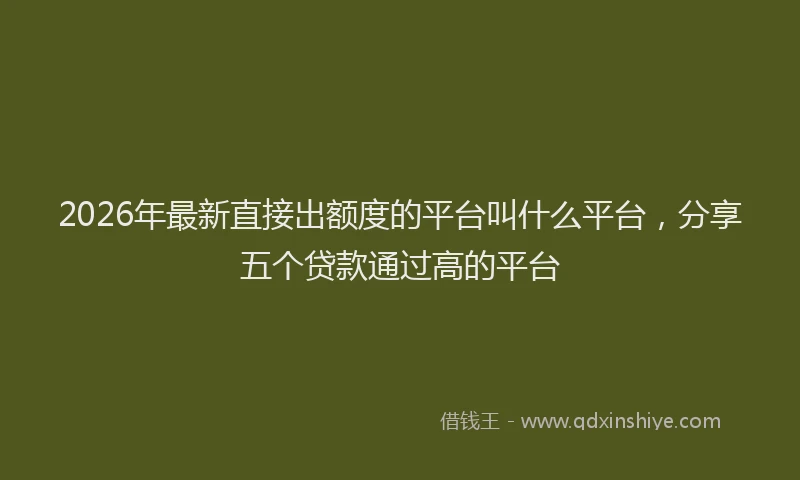 2026年最新直接出额度的平台叫什么平台，分享五个贷款通过高的平台
