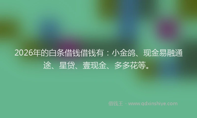 2026年的白条借钱借钱有：小金鸽、现金易融通途、星贷、壹现金、多多花等。