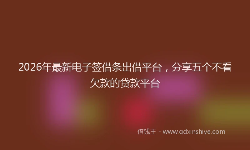 2026年最新电子签借条出借平台，分享五个不看欠款的贷款平台